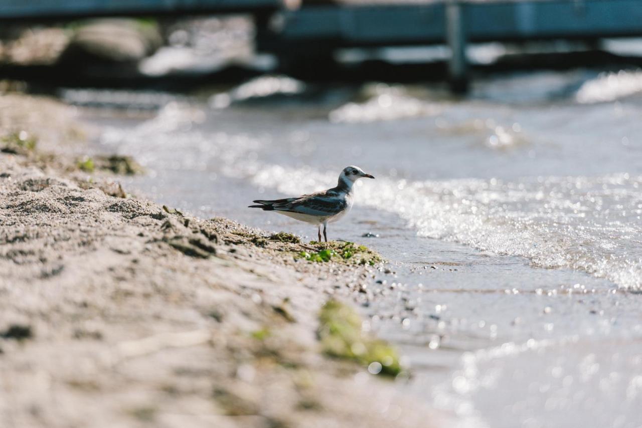 Insel Der Sinne Gorlitz Bagian luar foto